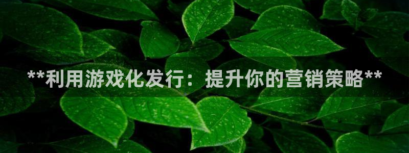 新城平台登录入口官网下载app：**利用游戏化发行：提升你的营销策略**