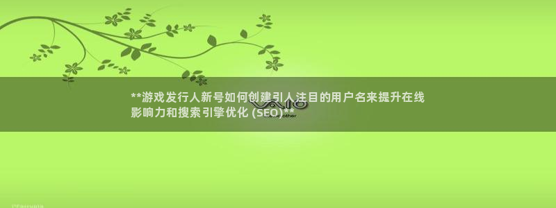 新城平台注册公司流程图：**游戏发行人新号如何创建引人注目的用户名来提升在线
影响力和搜索引擎优化 (SEO)**